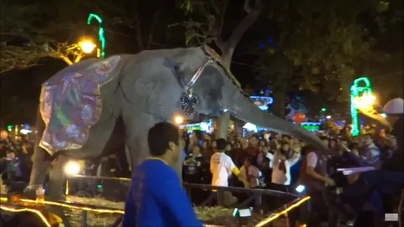 ¡Un Mágico Encuentro con los Reyes Magos en Atlixco Puebla!